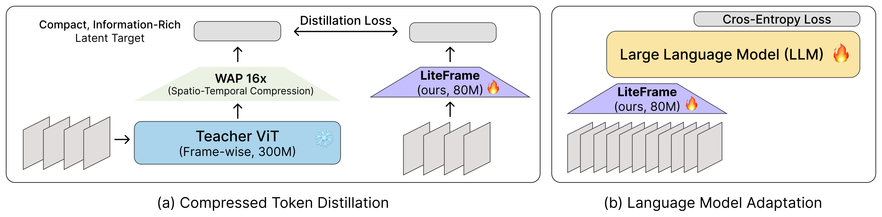 CTD training framework