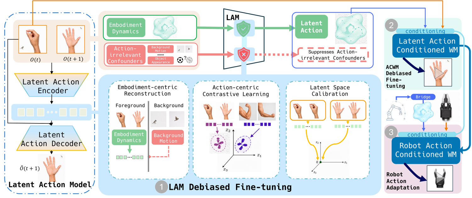 CD-LAM architecture